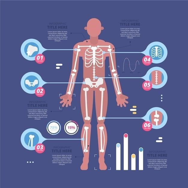 pdf musculoskeletal system