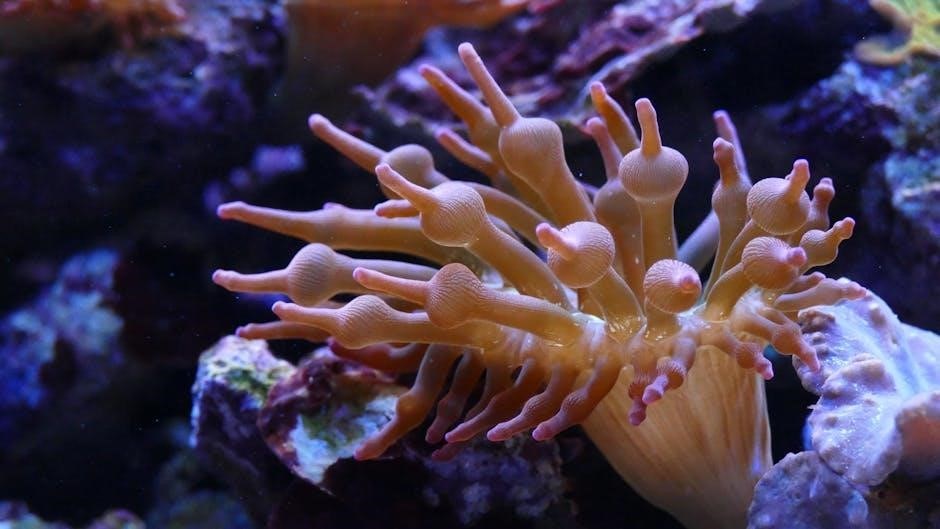 aquarium plant guide